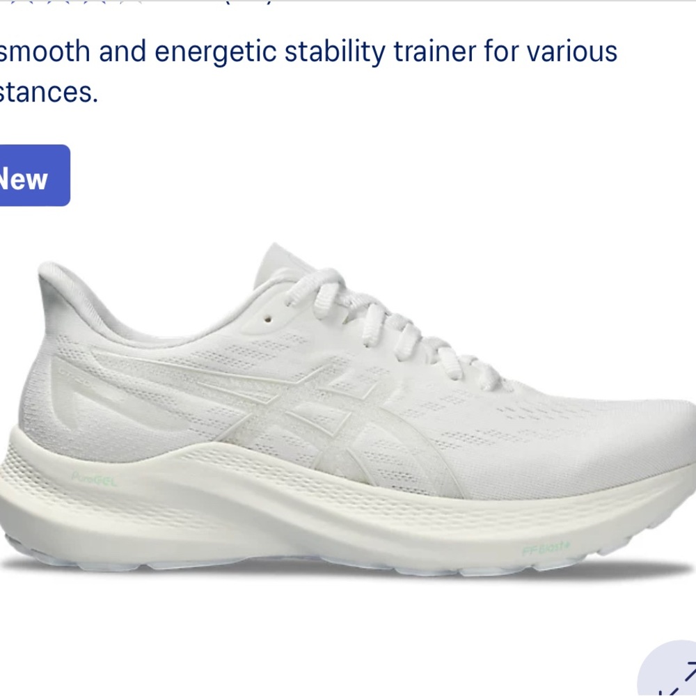 ASICS GT 2000 12